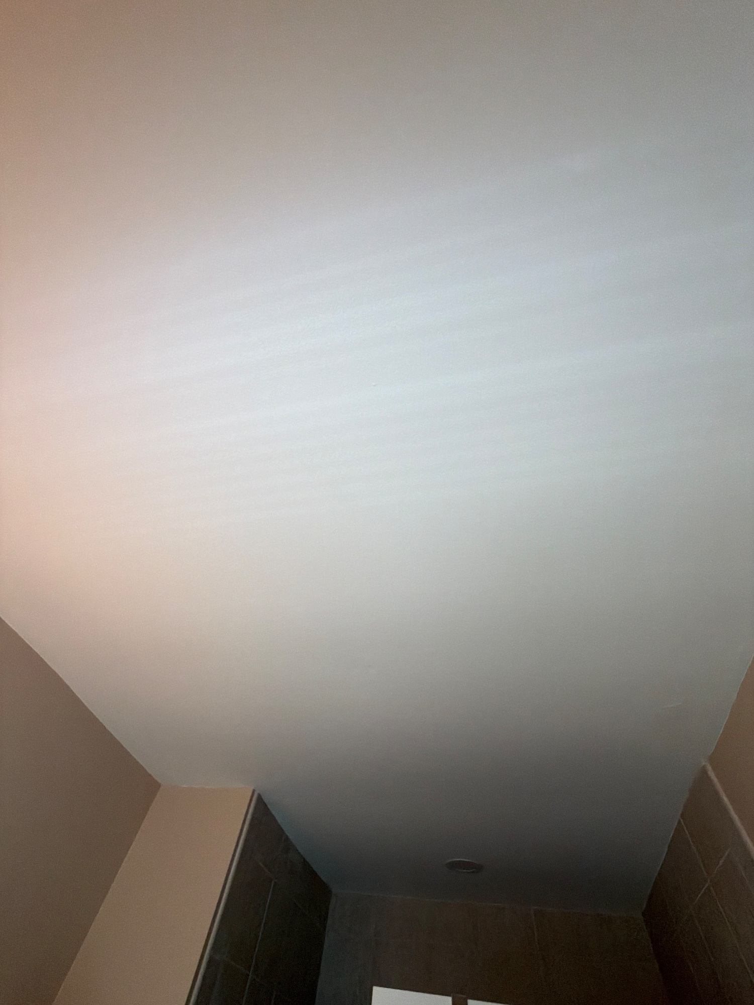 The whole ceiling