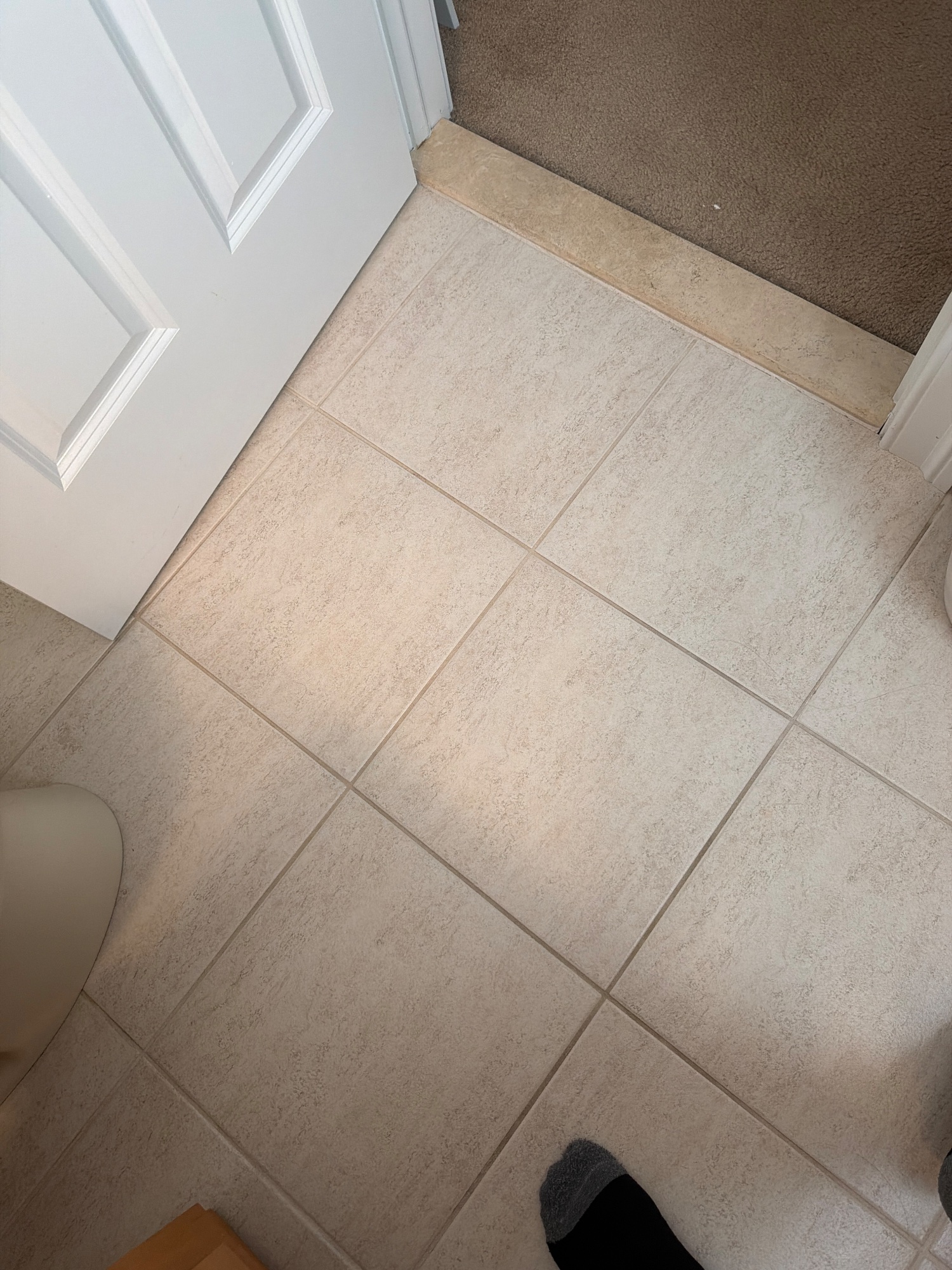 The floor close up, including the strip at the doorway