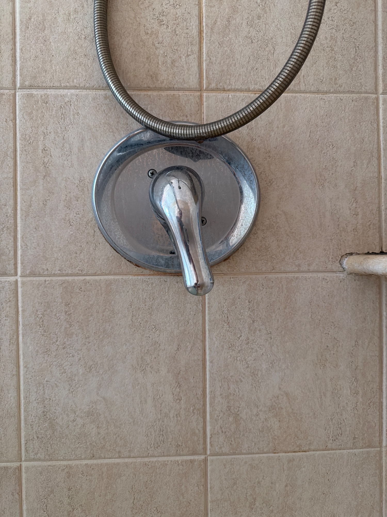 Close up of the shower handle and trim